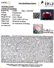 8.23/CT Natural Neo Burma Ruby with Govt. Lab Certificate-(5661)